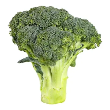 Brócoli