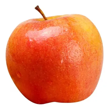 Manzana Gala
